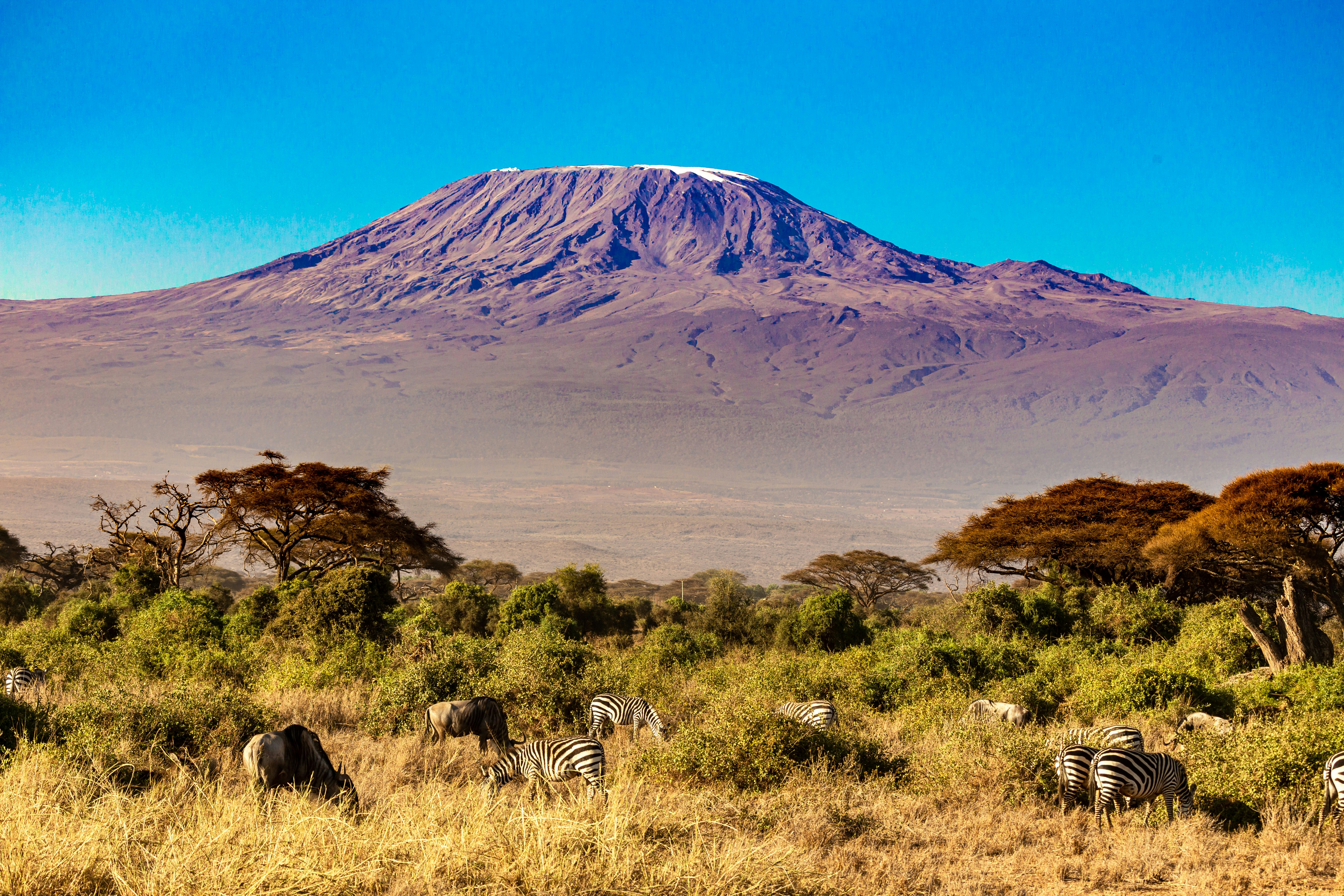 Kilimanjaro Landscape